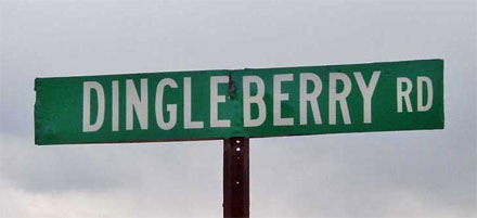 Image result for dingleberries
